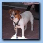 [Click to enlarge image]