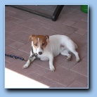 [Click to enlarge image]