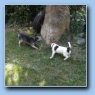 [Click to enlarge image]