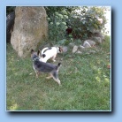 [Click to enlarge image]