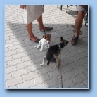 [Click to enlarge image]