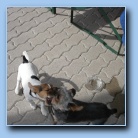 [Click to enlarge image]